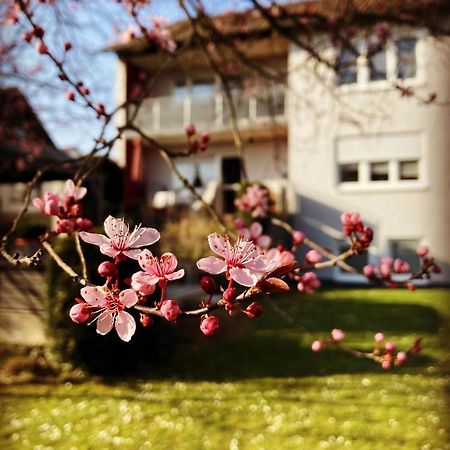 Ferienwohnung Im Aalbachtal - Uettingen Bei Wuerzburg Exterior foto